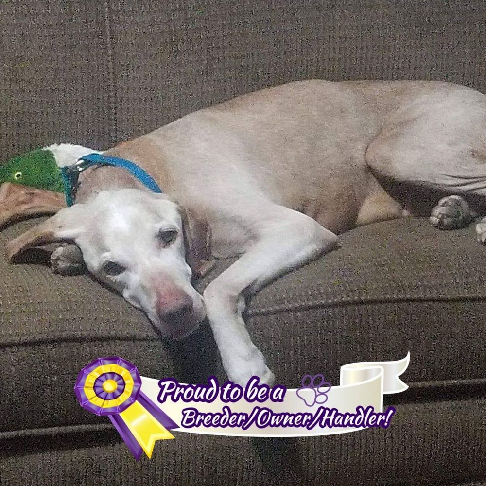 Meet your Posher, Jen